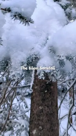 The Silent Snowfall