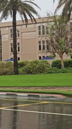 During Rain 
