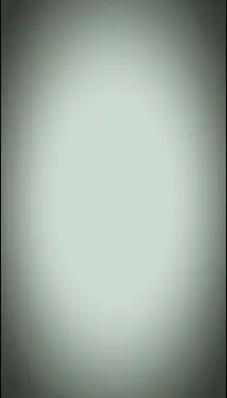 3D template