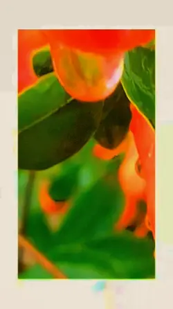 Pora Pora Piyar 