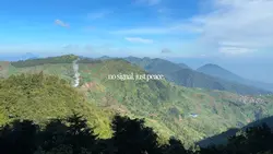 just peace