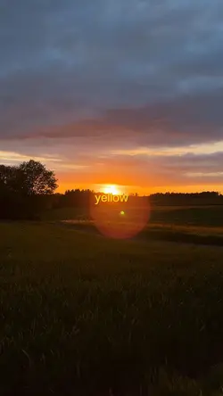 It was all yellow