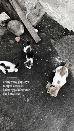 kata kata