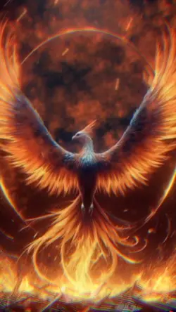 Rise