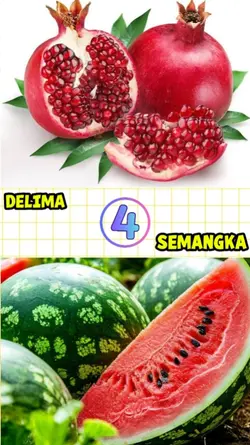 kalian tau gak sih. 