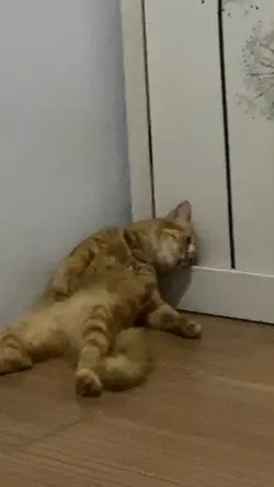 rekening nganggur 