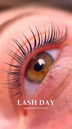 lash designer