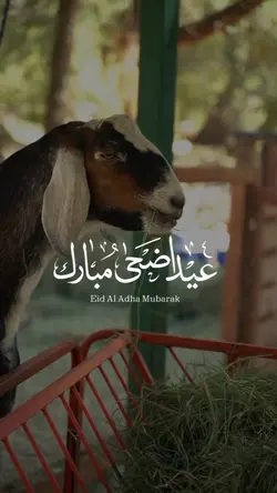 eid al adha 2025