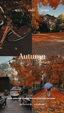 Autumn Vibes