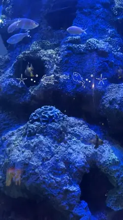 aquarium date 