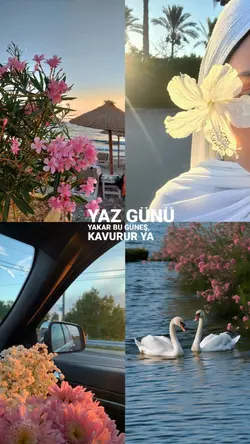 Yaz geliyoo