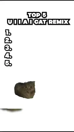 TOP 5 U I I A I CAT 