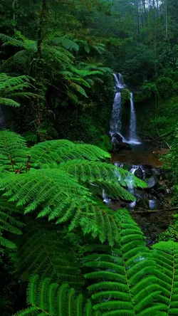 nature vibes