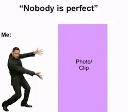 Nobody is perfec