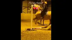 Flying change ❤️