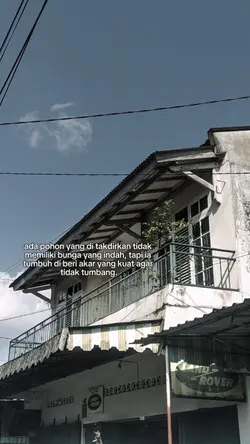 akar yang kuat