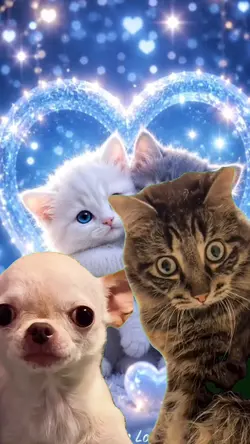 cat template