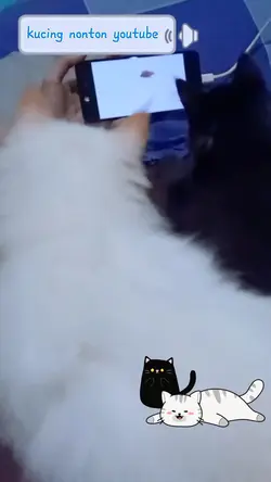 kucing nonton