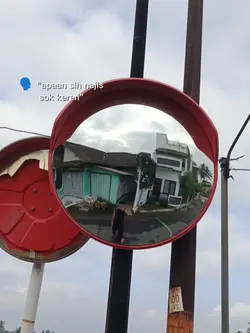 fotofreeze