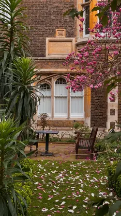 spring in temple 🍃🌸