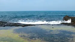 sea template cinemat