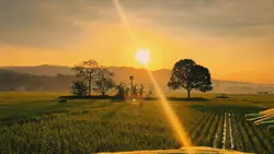 SUNSET AESTHETIC