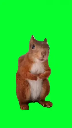 burp & fart squirrel