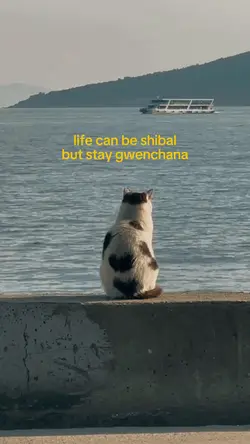 Life can be