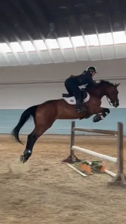 holy eq