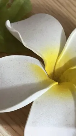 もぐらの唄🎶歌詞動画✨