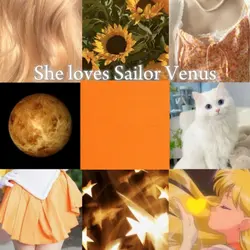 ShelovesSailorVenus
