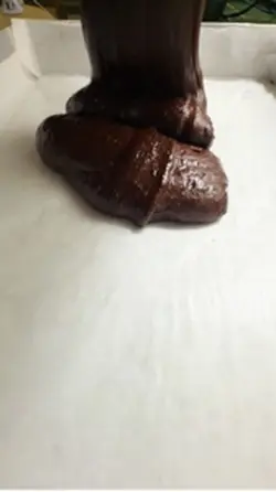fudge brownies