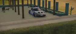 cpm montage