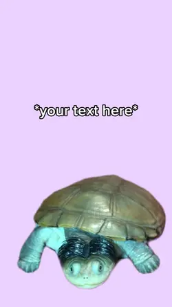 barely there turtle