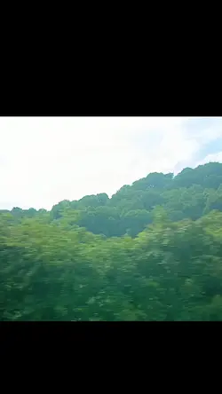 country template