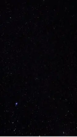 Magal vidéo 38