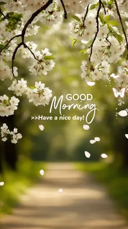 Good Morning