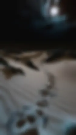 Glitch Effect