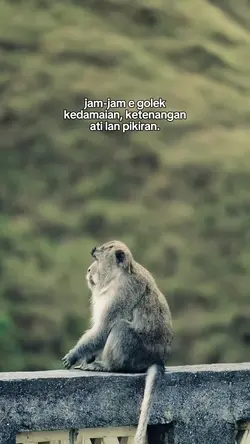 jam" e golek
