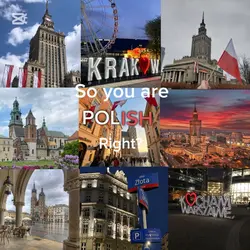 Polish sir 