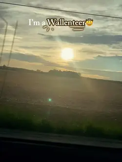 Im a Wallenteer 