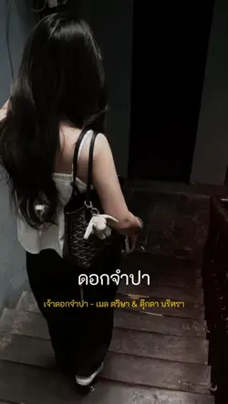 เจ้าดอกจำปา💐✨