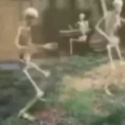 Skelly bois