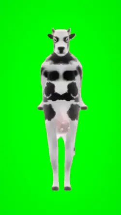 dancing cow