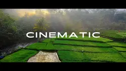 Cinematic aesthetic