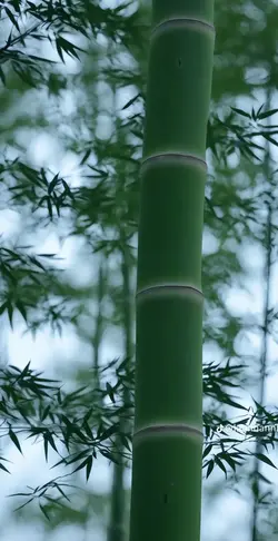 yết quan hệ tình yêu