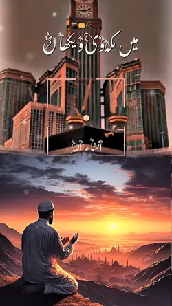 main makah v vikan 
