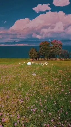 fun day