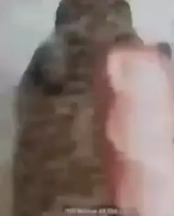 YT shorts meme