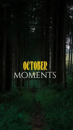 TRAVEL AND MOMENTS